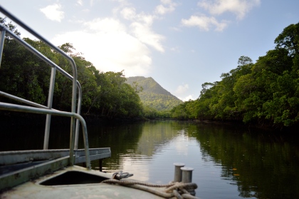 Queensland's third largest mountain and the mangrove river system